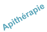 shapeimage_24_link_0